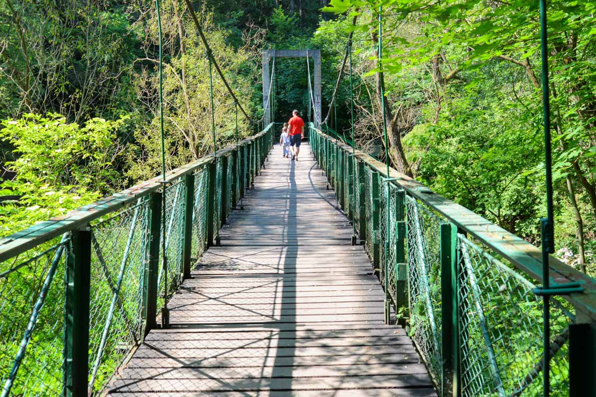 Malerische Hängebrücken führen durch die urwaldgleiche Natur der Cheile Turzii in Rumänien