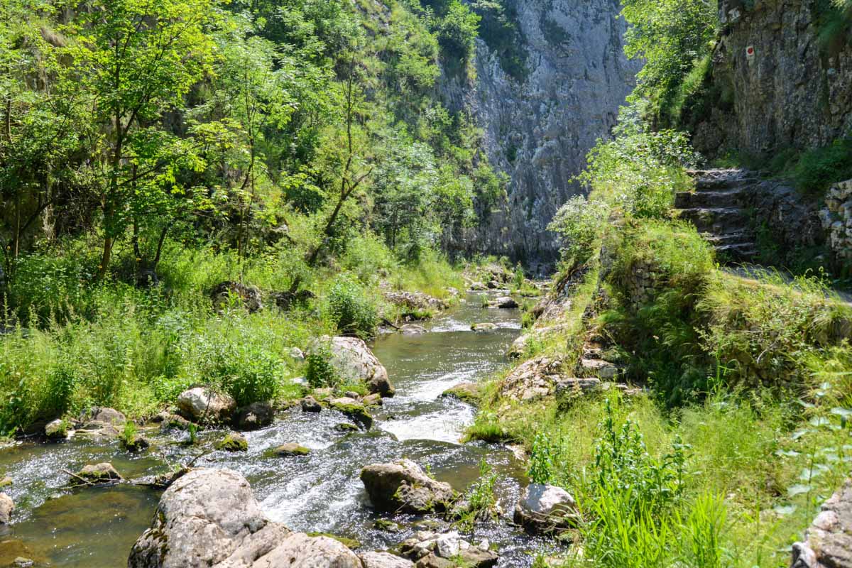 Das Naturschutzgebiet Cheile Turzii in Rumänien beherbergt rund 1000 verschiedene Tier- und Pflanzenarten