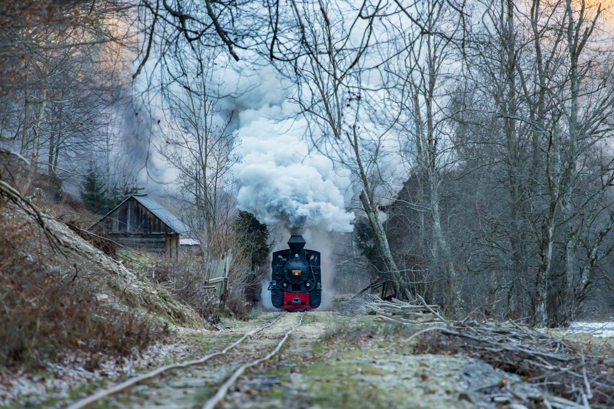 Die Waldbahn im Vaser-Tal ist die einzige dampfbetriebene Bahn in Europa, die noch für den Holztransport verwendet wird, Rumänien