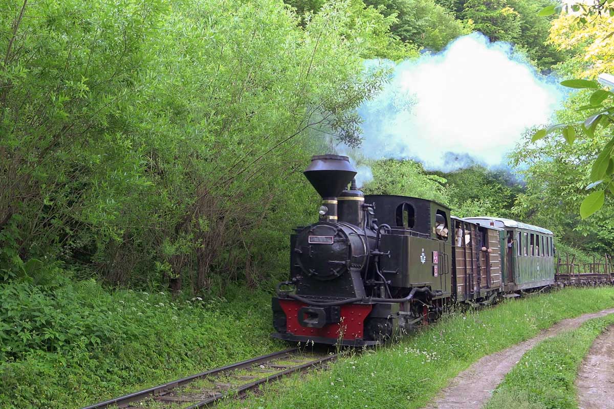Die Waldbahn im Vaser-Tal wurde 1932 für den Holztransport angelegt und steht seitdem fast ununterbrochen in Betrieb, Rumänien