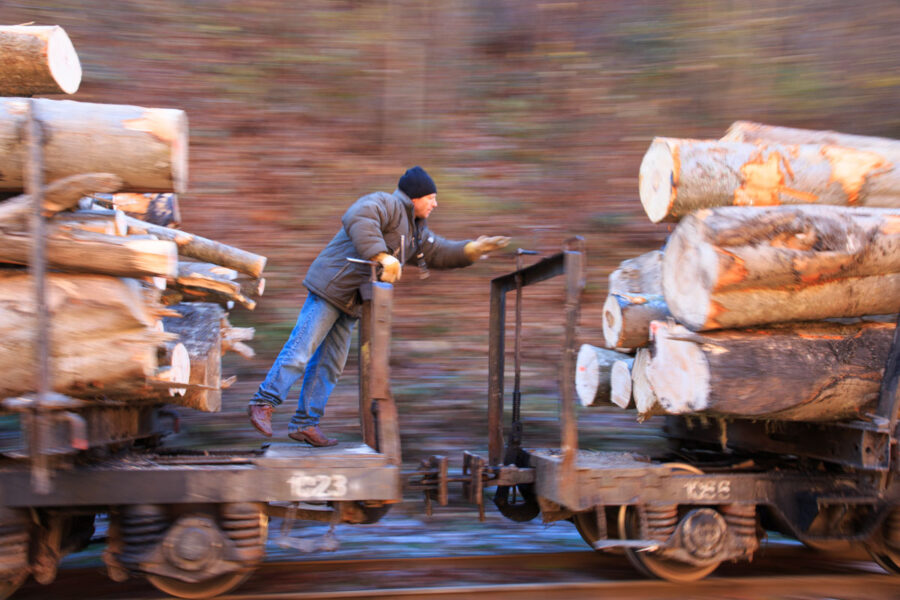 Die Wassertalbahn in Rumänien transportiert neben Baumstämmen auch Touristen durch die idyllischen Wälder der Karpaten - © Emily Marie Wilson / Shutterstoc